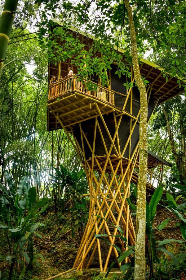Eco Hotel Hacienda El Diamante Buga Eksteriør bilde